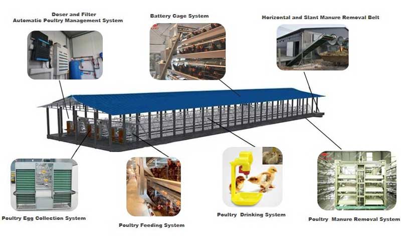 Battery Cage For Layers