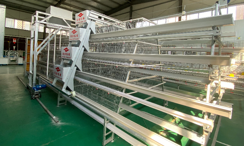 A-type laying hen cages